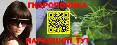 шишки Будённовск