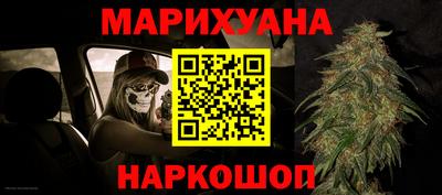 шишки Будённовск
