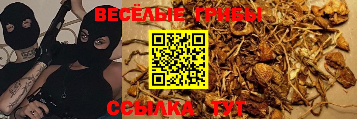 где купить наркоту  Вход с VPN  Краснокаменск  Галлюциногенные грибы GOLDEN TEACHER  Псилоцибиновые грибы прущие грибы 